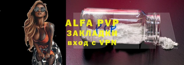 дмт Инсар