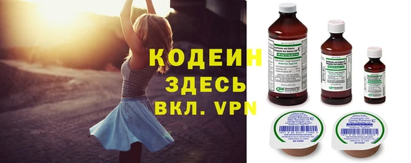 дмт Инсар