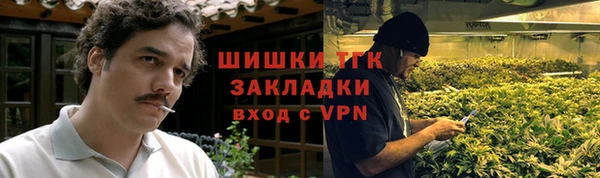 дмт Инсар