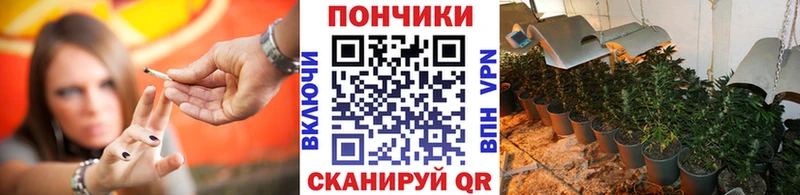 Конопля планчик  Купить закладки  Иланский 